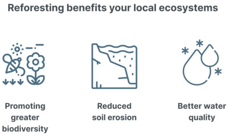 reforesting-benefits-inset