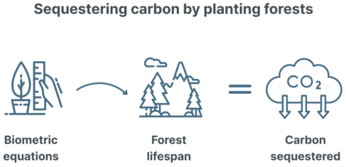 sequestering-carbon-inset